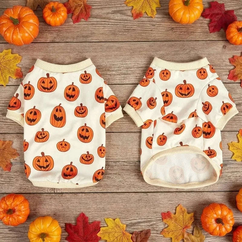 Dog Sweatshirt with Pumpkins