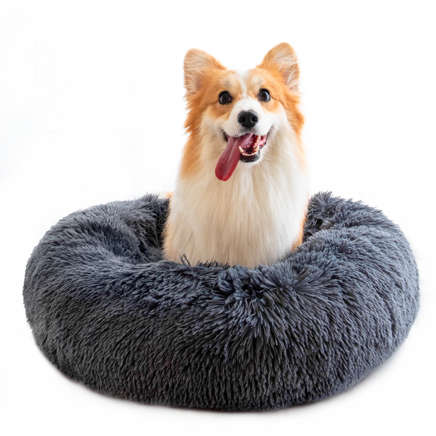 Plush Bed for Puppies and small dogs