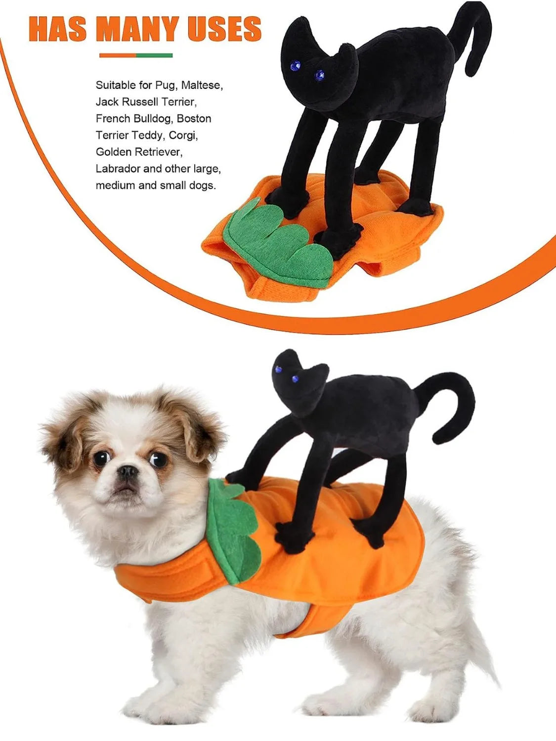 Assorted Halloween Costume, 2 Styles