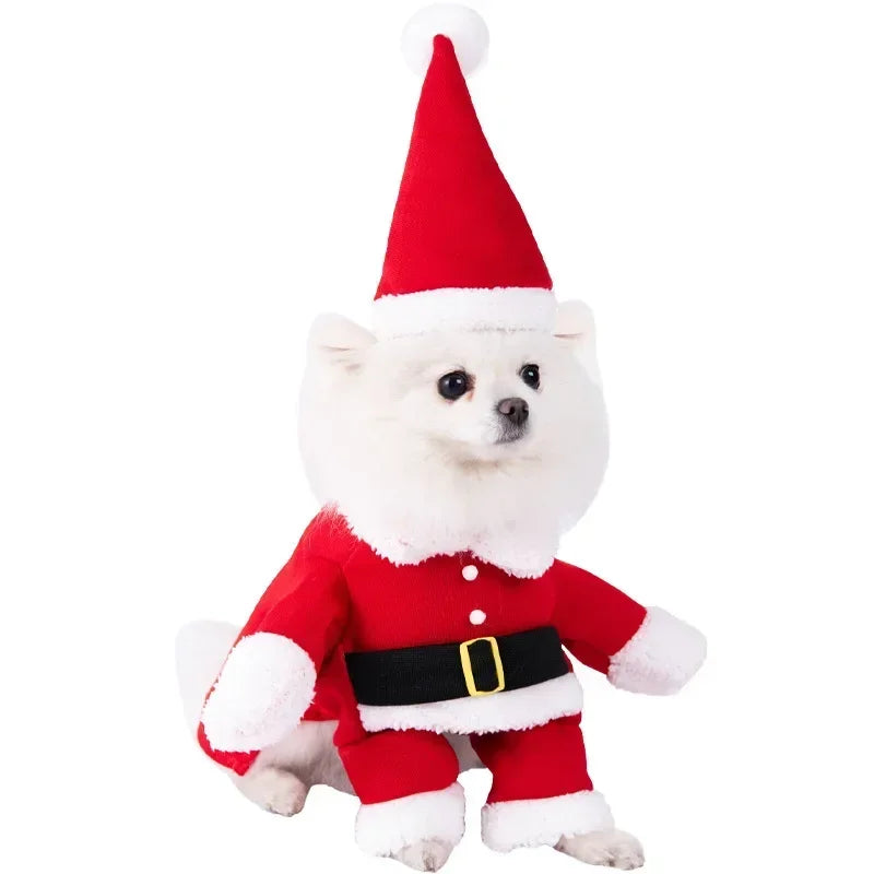 Assorted Halloween Dog Costumes, 22 Styles