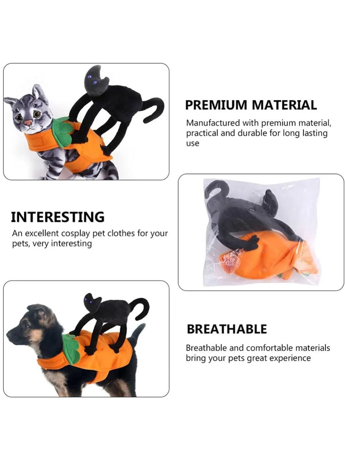 Assorted Halloween Costume, 2 Styles
