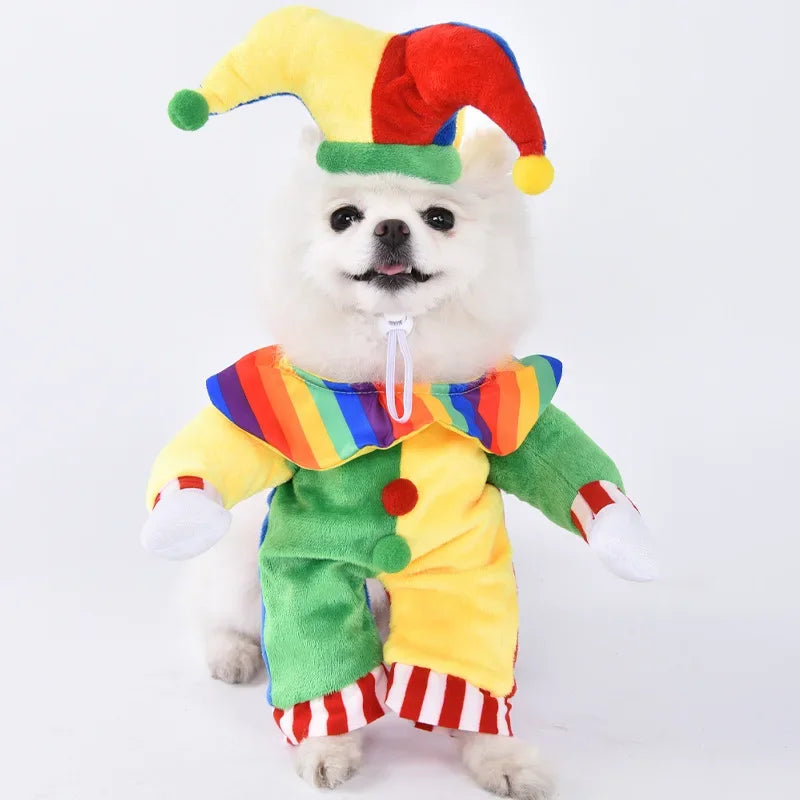 Assorted Halloween Dog Costumes, 22 Styles