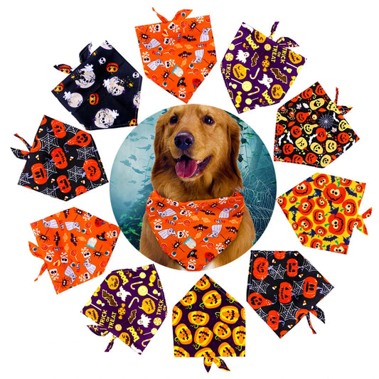 Pumpkin & Skull Halloween Printed Bandana