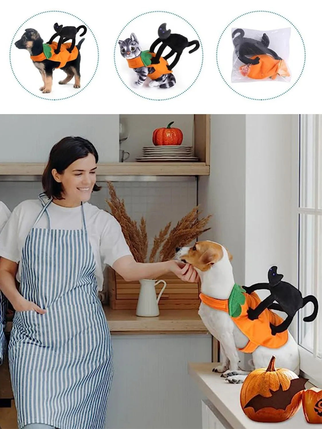 Assorted Halloween Costume, 2 Styles