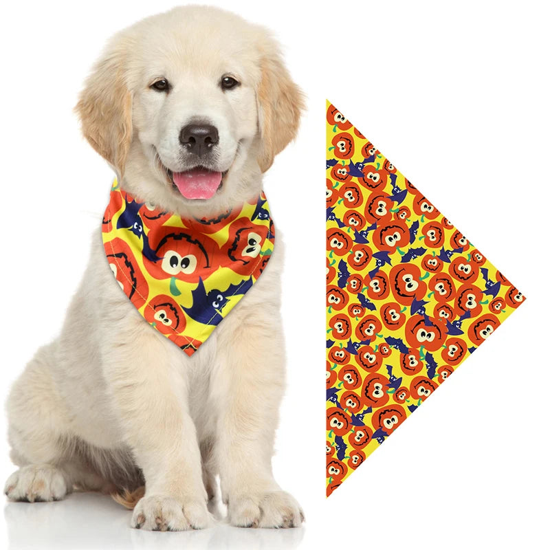 Pumpkin & Skull Halloween Printed Bandana