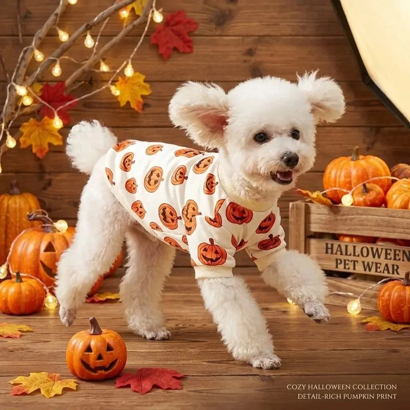 Dog Sweatshirt with Pumpkins