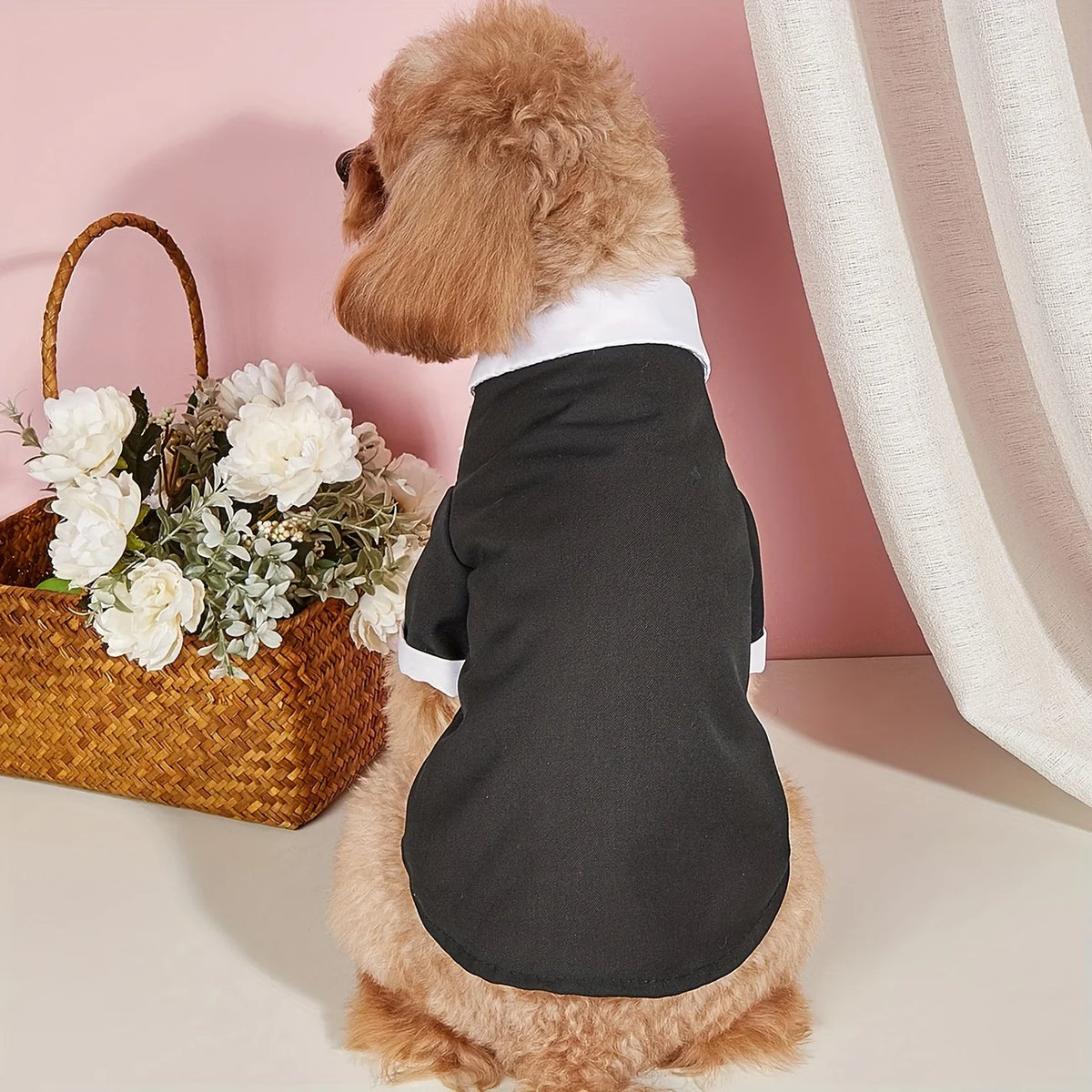 Formal Shirt with Bow Tie (Small Dogs)