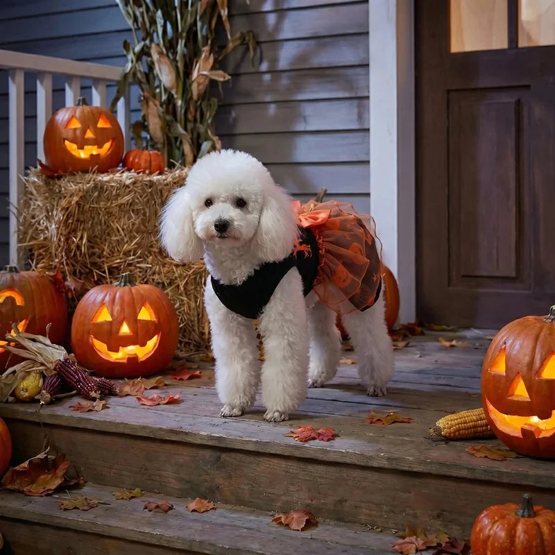 Pumpkin Tulle Halloween Costume Dress