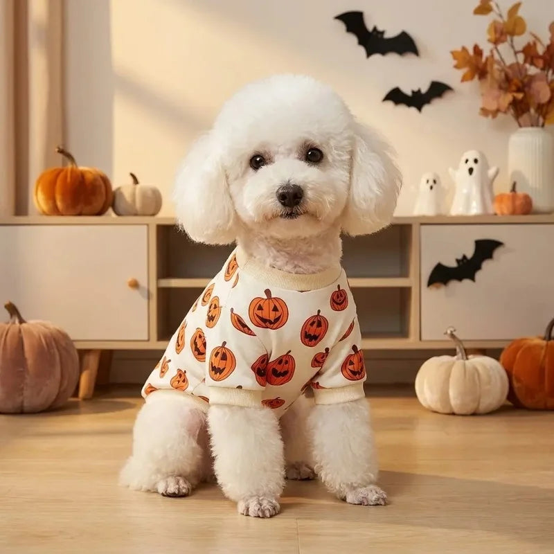 Dog Sweatshirt with Pumpkins