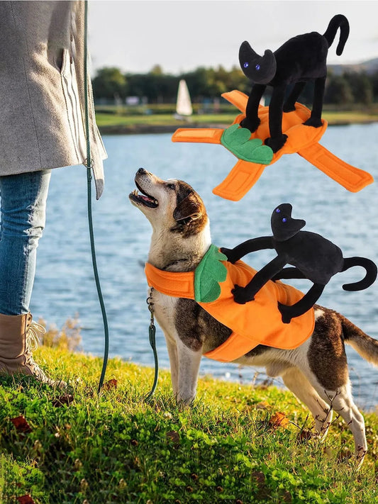 Assorted Halloween Costume, 2 Styles