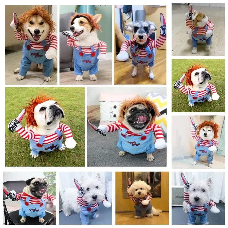 Assorted Halloween Dog Costumes, 22 Styles