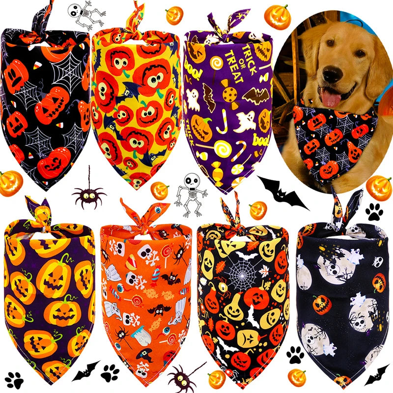 Pumpkin & Skull Halloween Printed Bandana