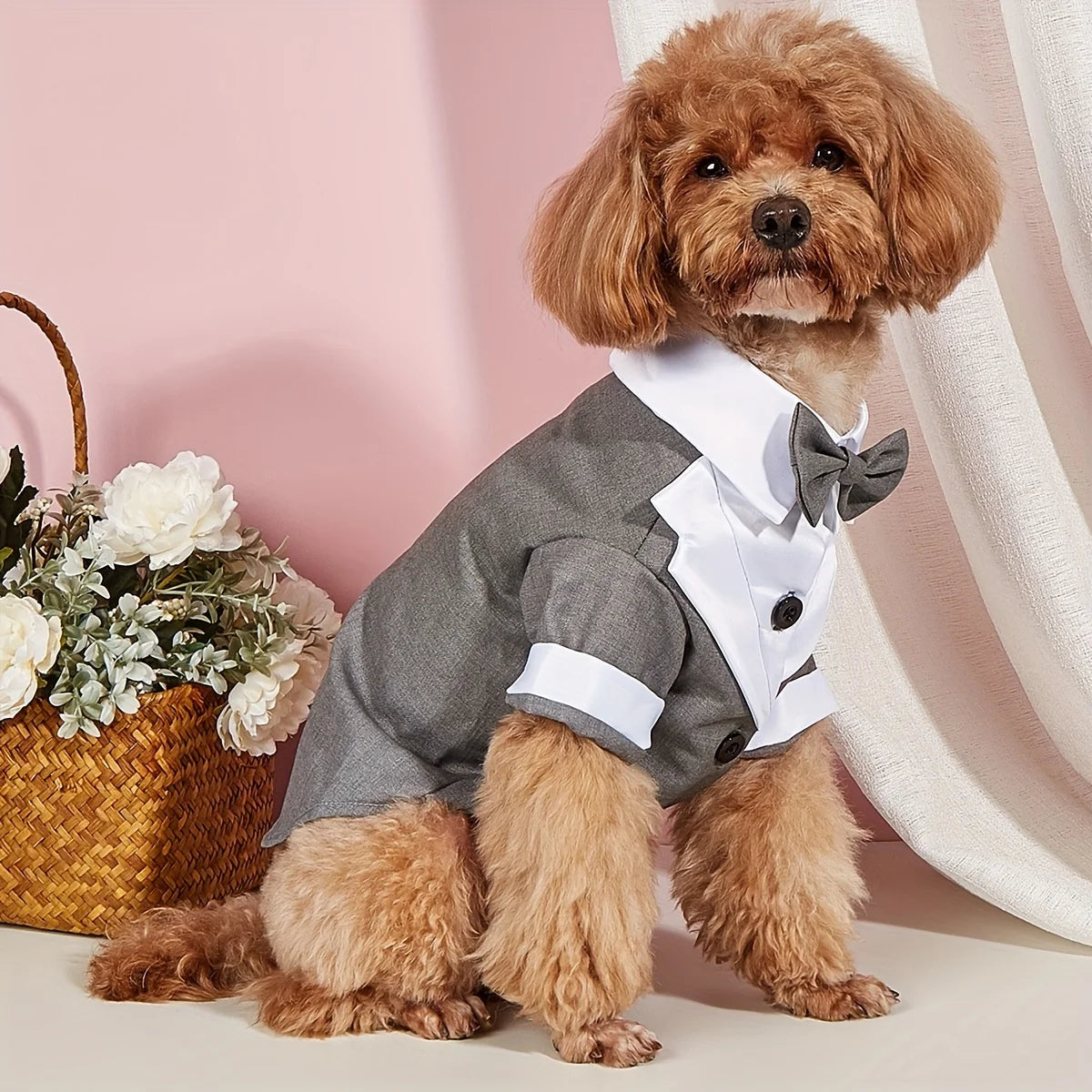 Formal Shirt with Bow Tie (Small Dogs)