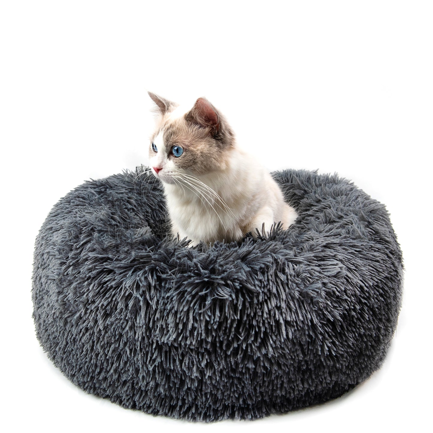 Plush Bed for Puppies and small dogs